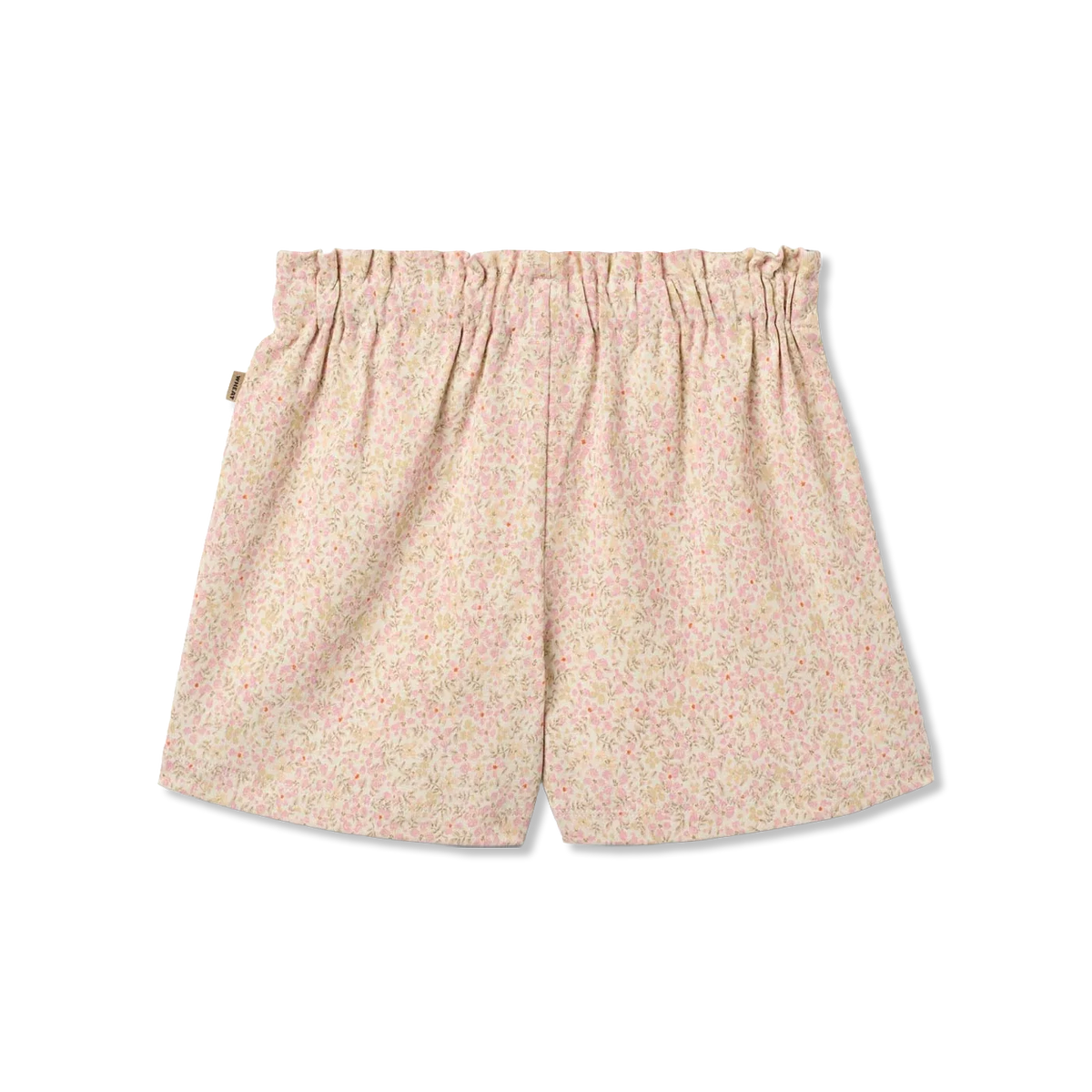 Ally pants