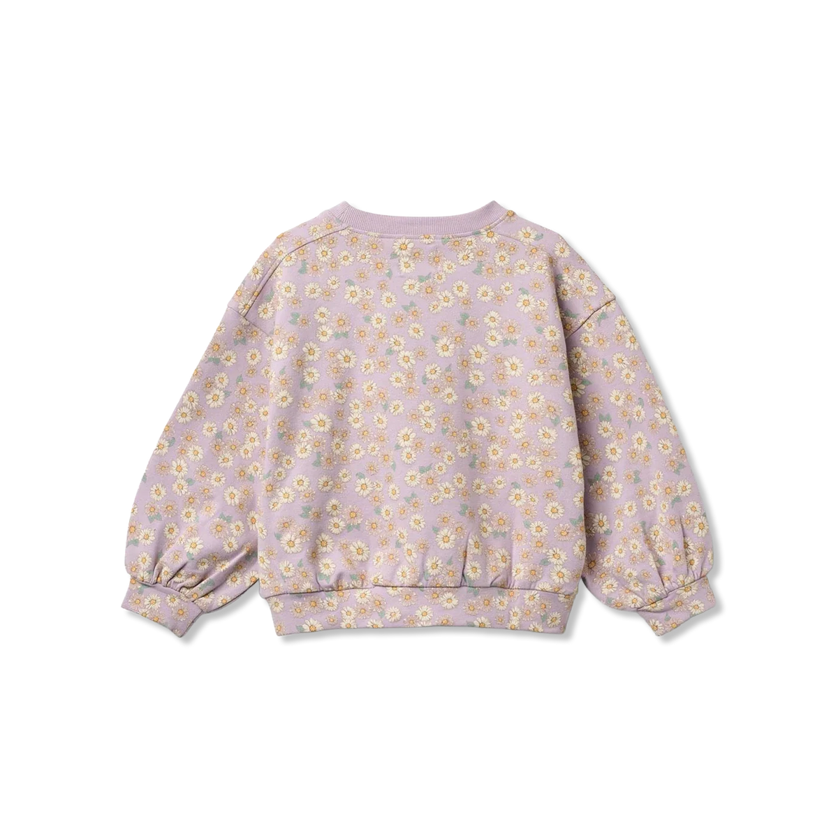 Lia sweatshirts