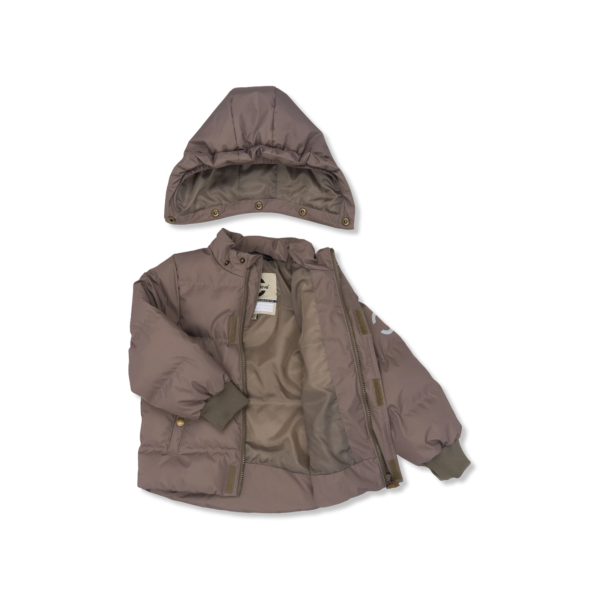 Winter jacket