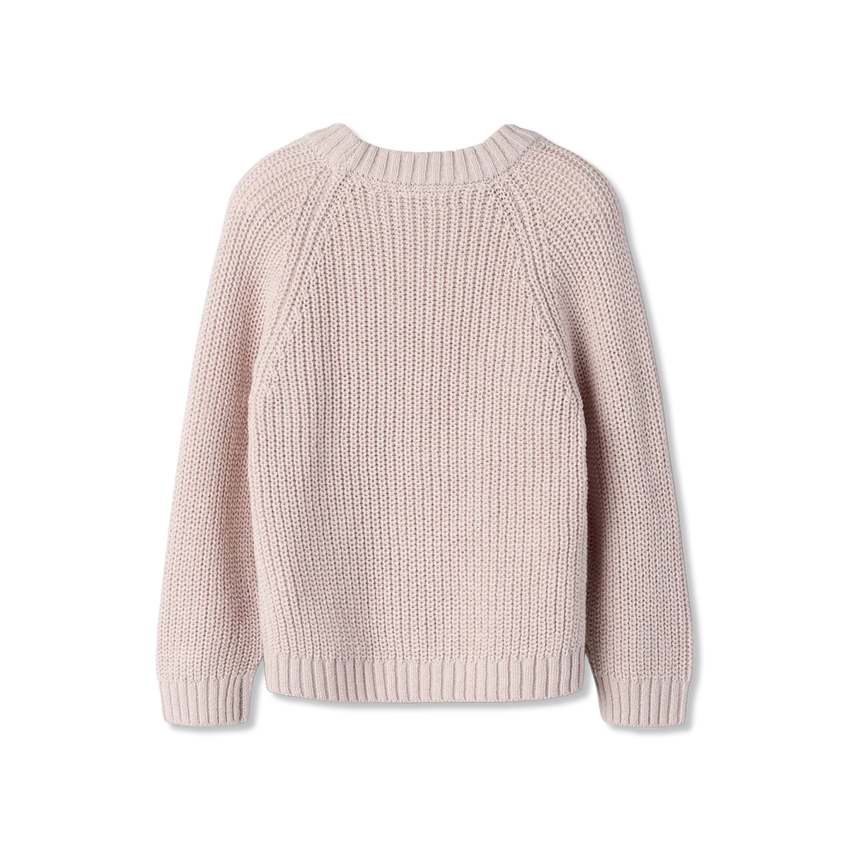 Nmfemlen Ls t-shirt