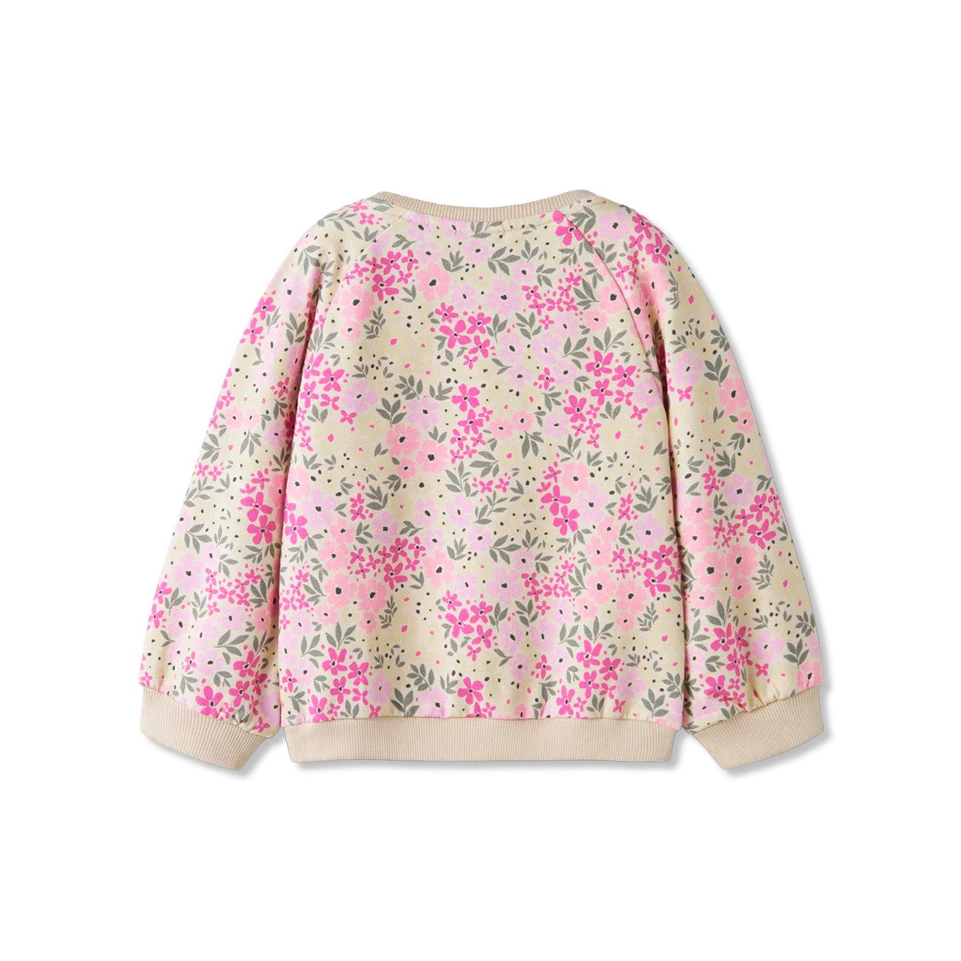 Nmfdartia sweatshirts