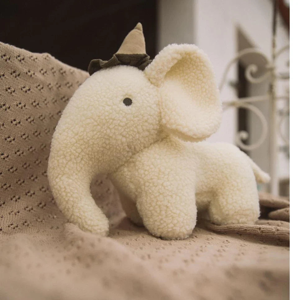 Nbnnigo teddy