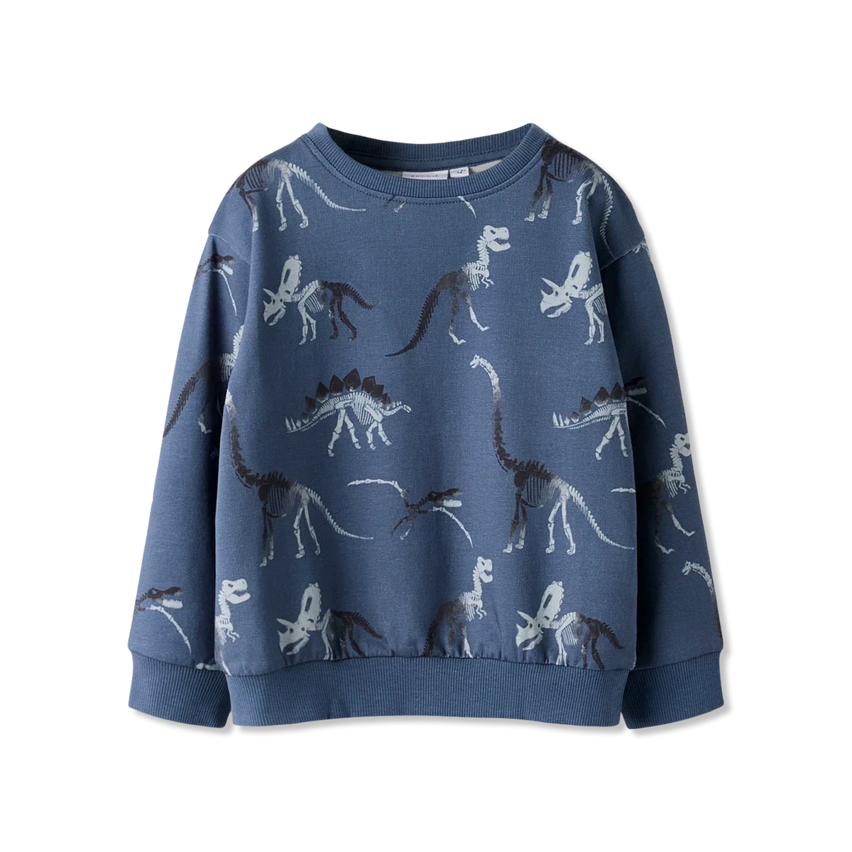 Nmmfabia Sweatshirt