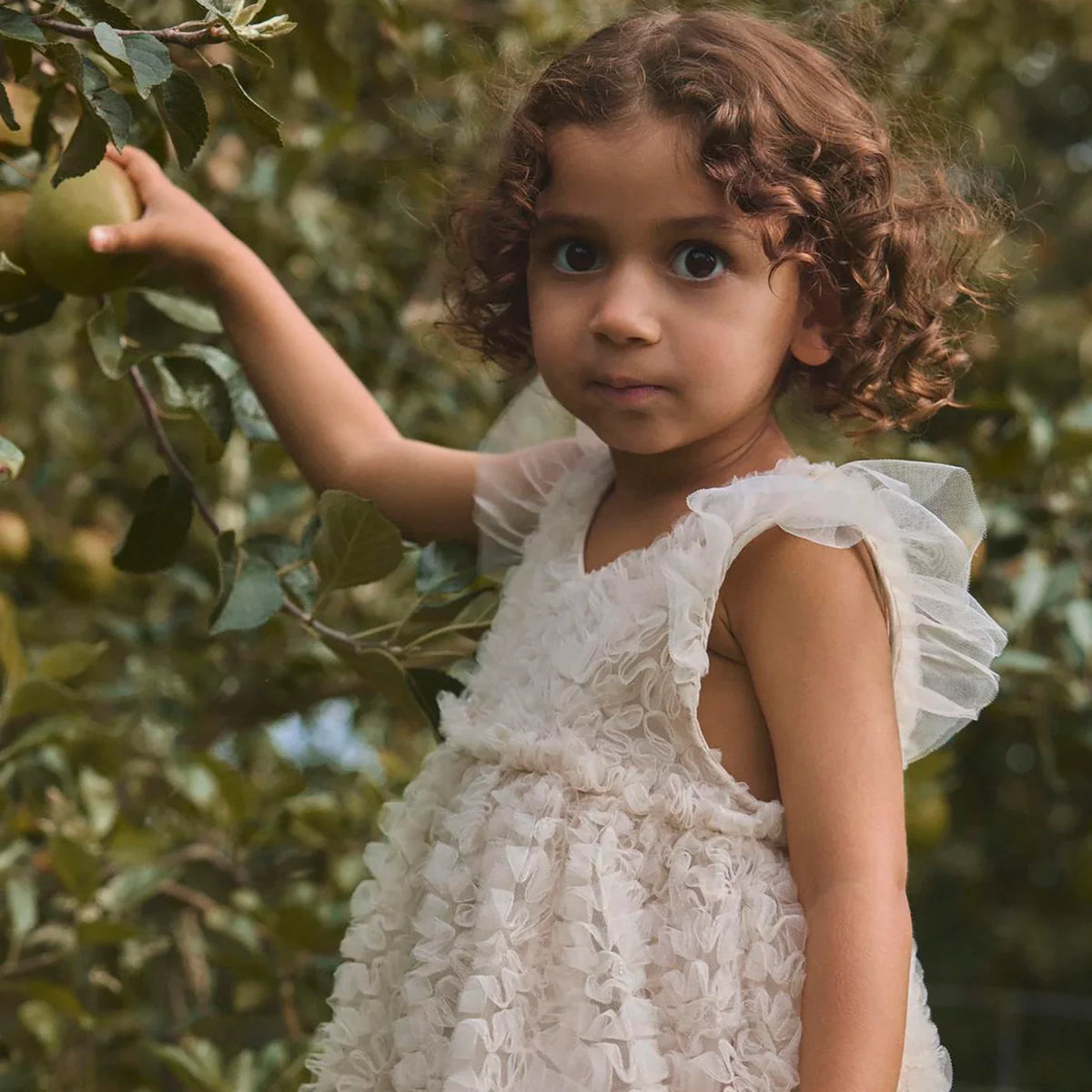 Nmffauna Dress