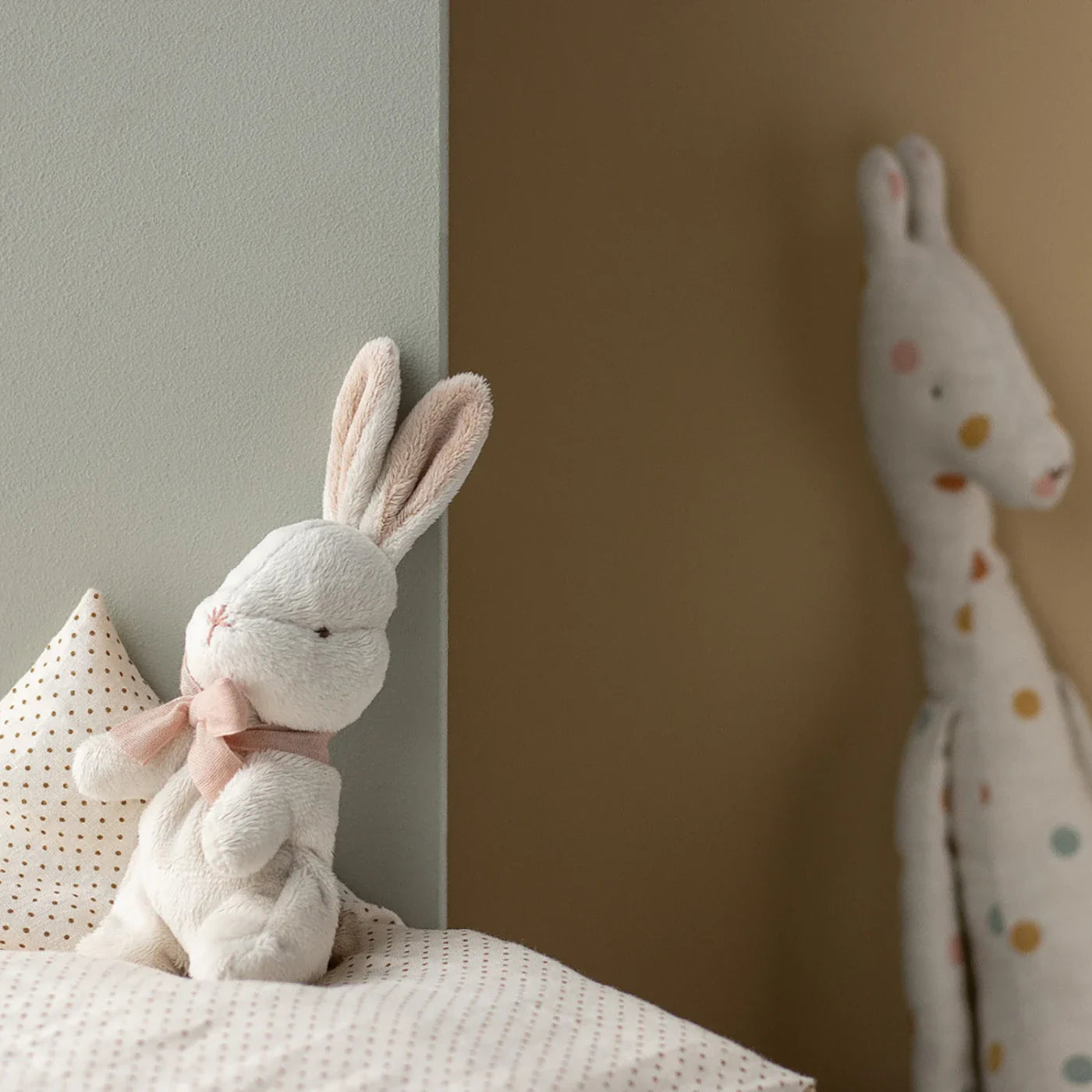 My first bunny Teddy