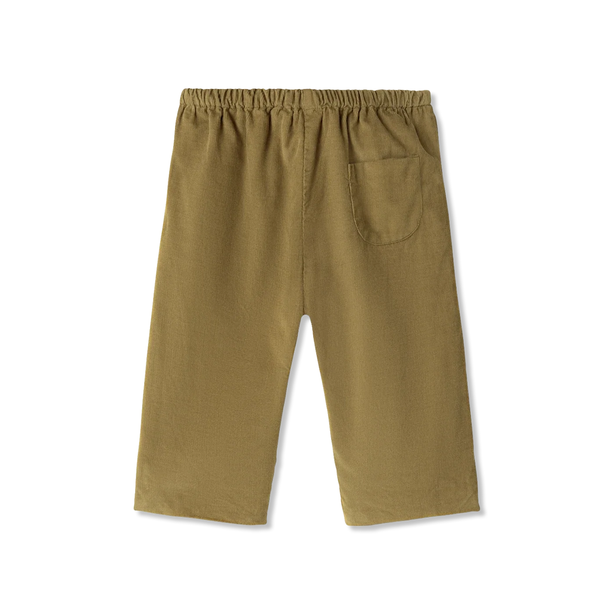 Panto Pants