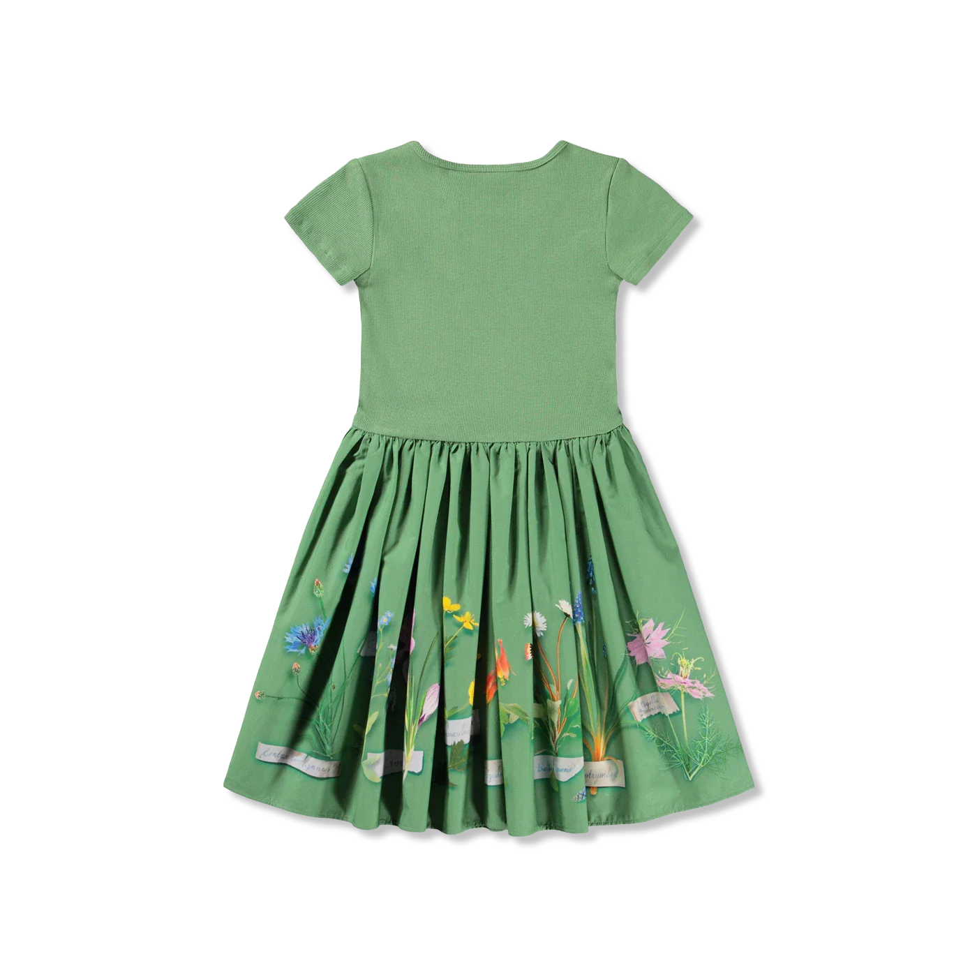 Cissa dress