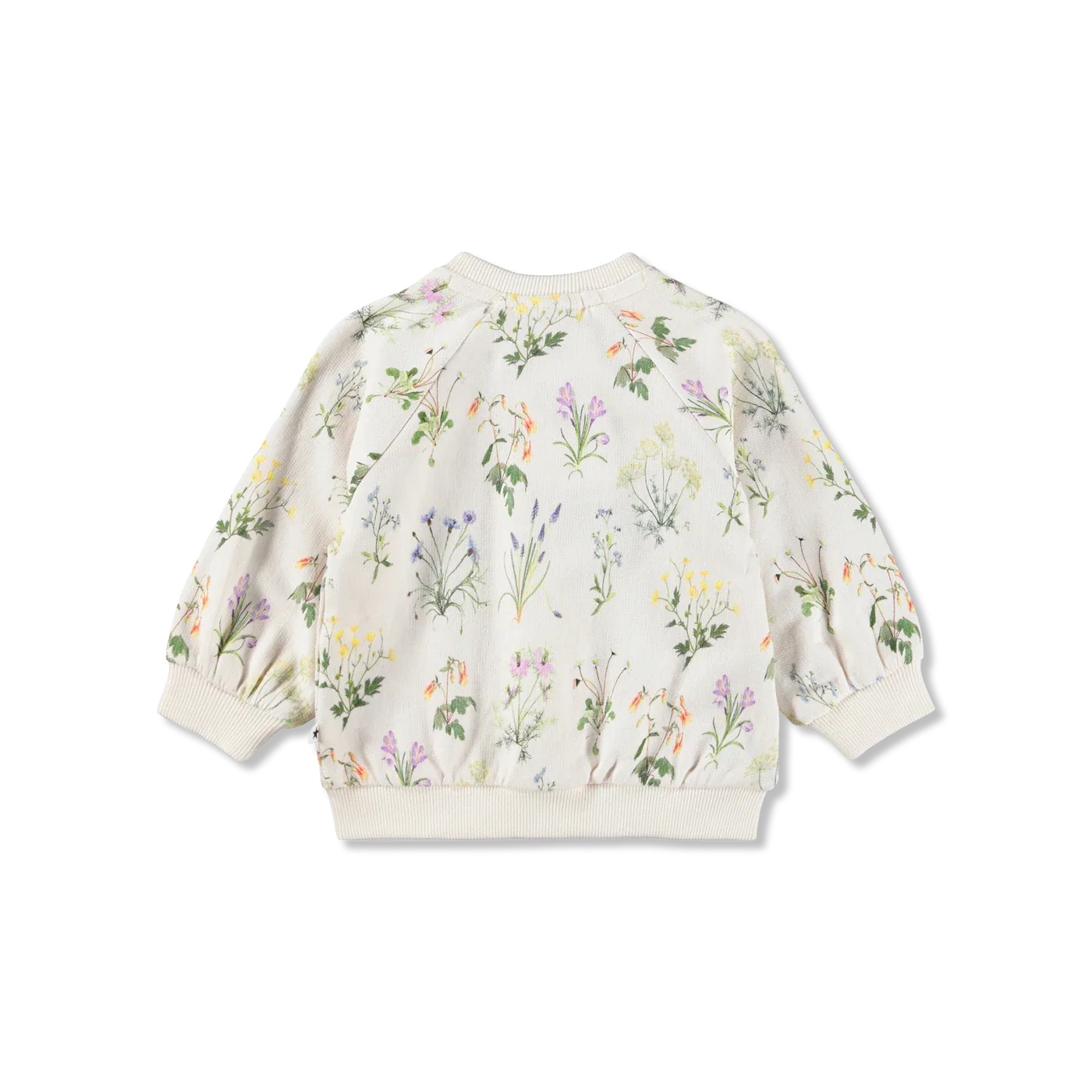 Daphne sweatshirts
