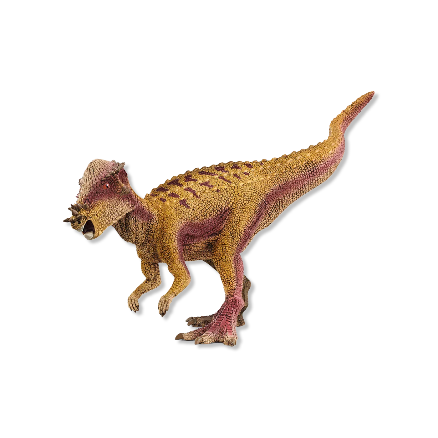 Pachycephalosaurus animals & figures