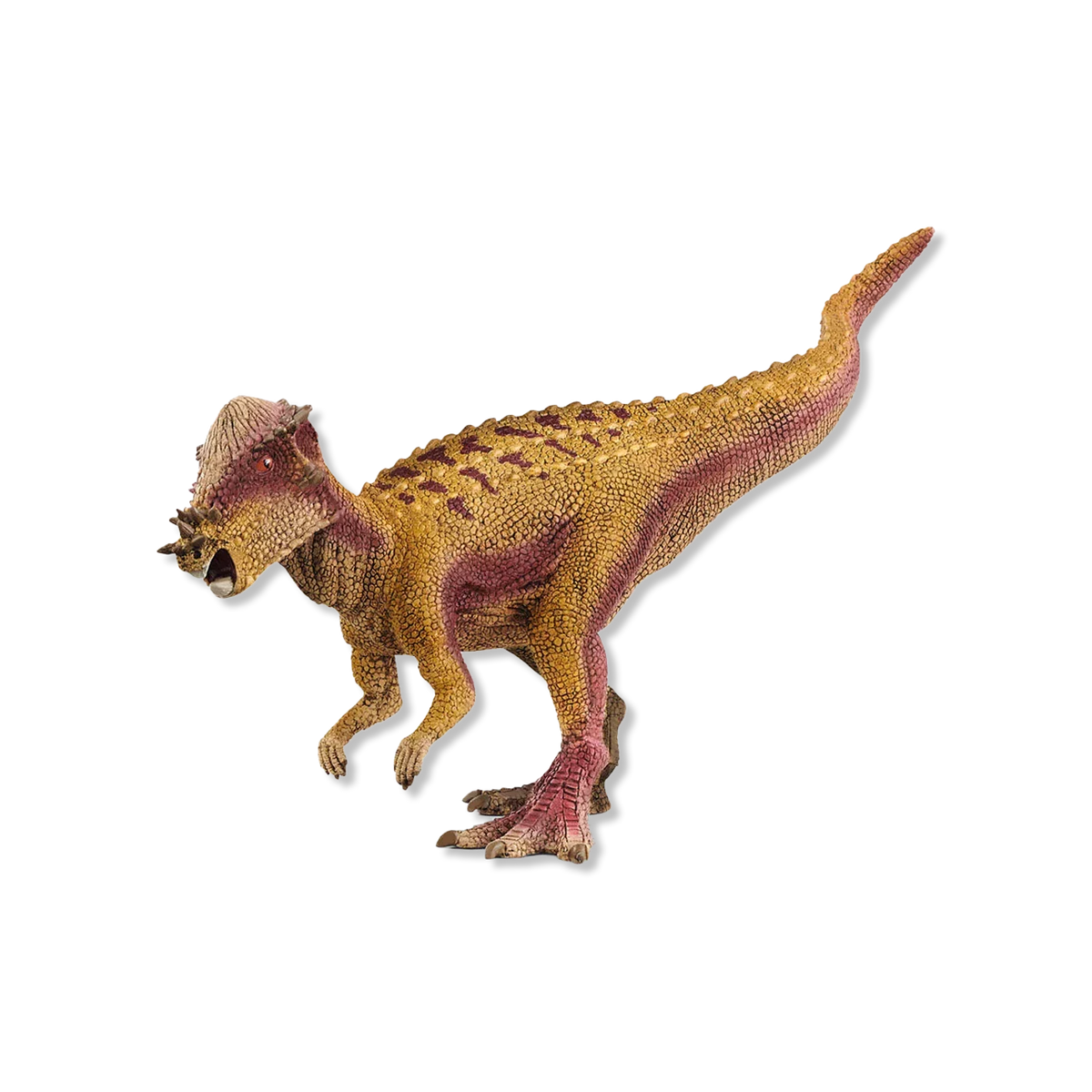 Pachycephalosaurus animals & figures