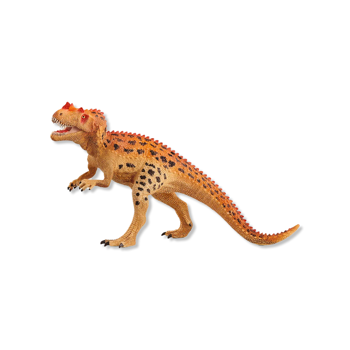 Ceratosaurus animals & figures