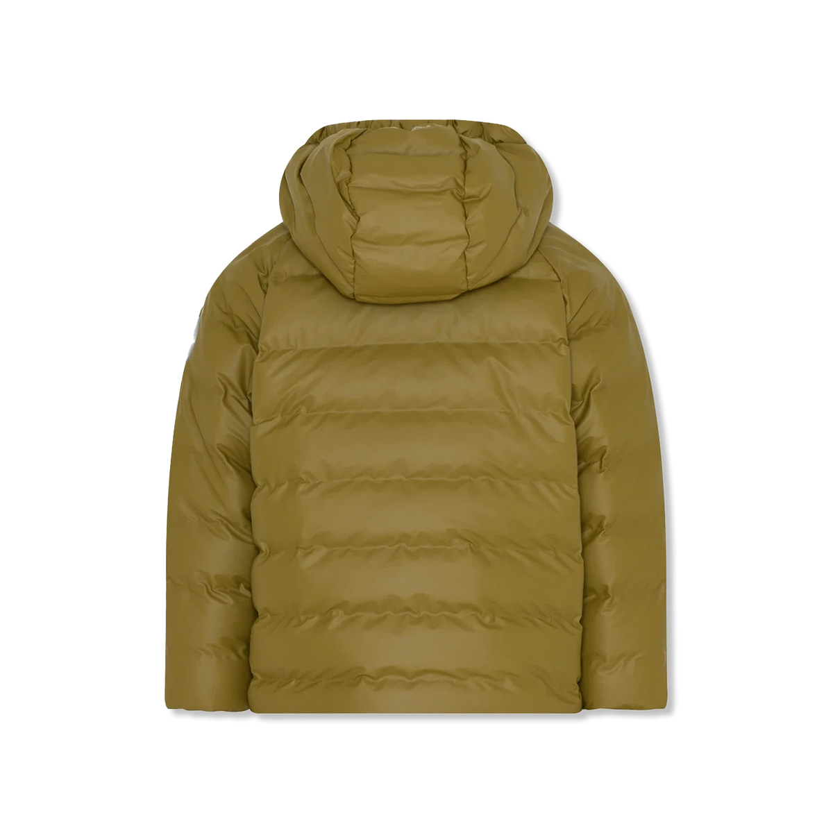 winter jacket