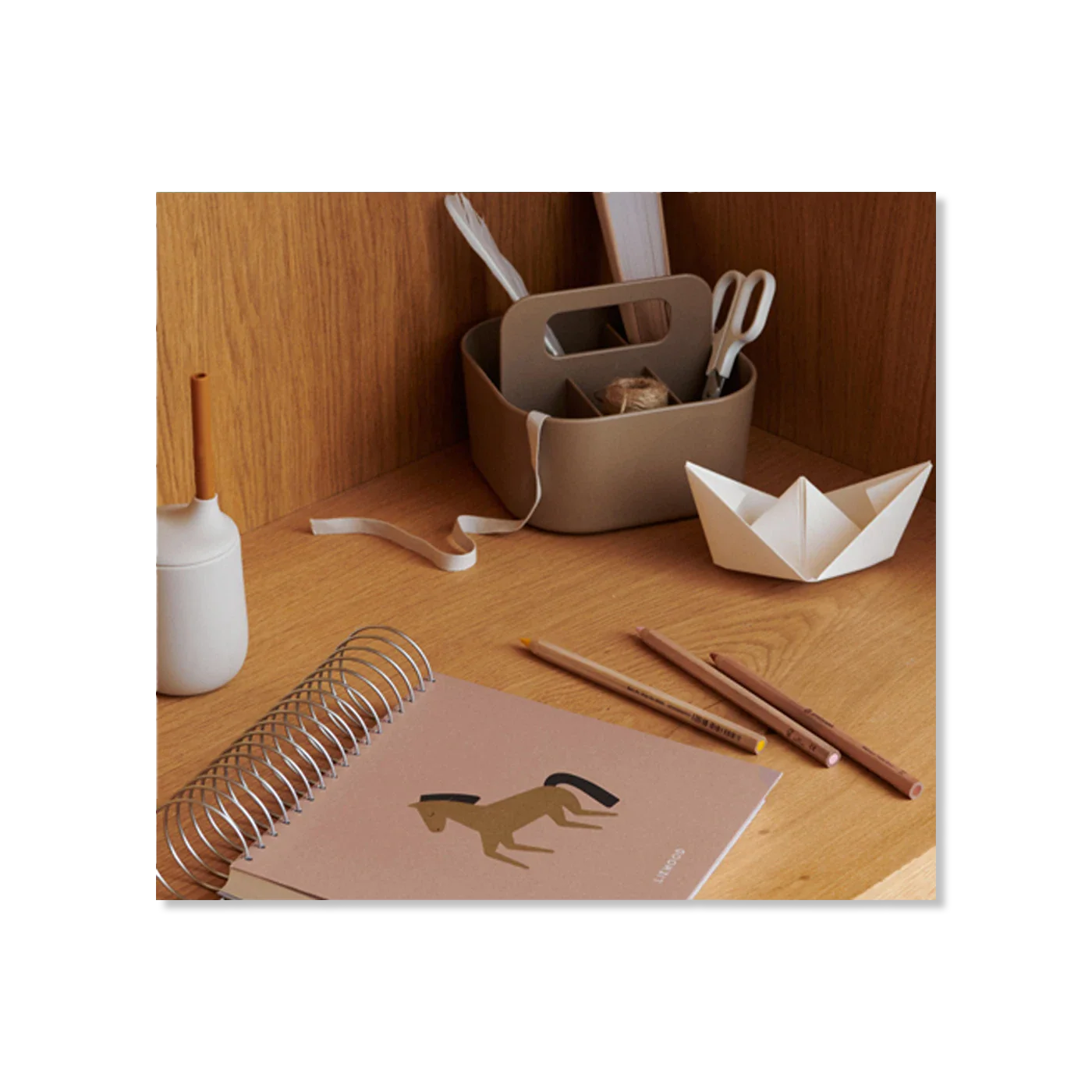 Shelly dIY kit