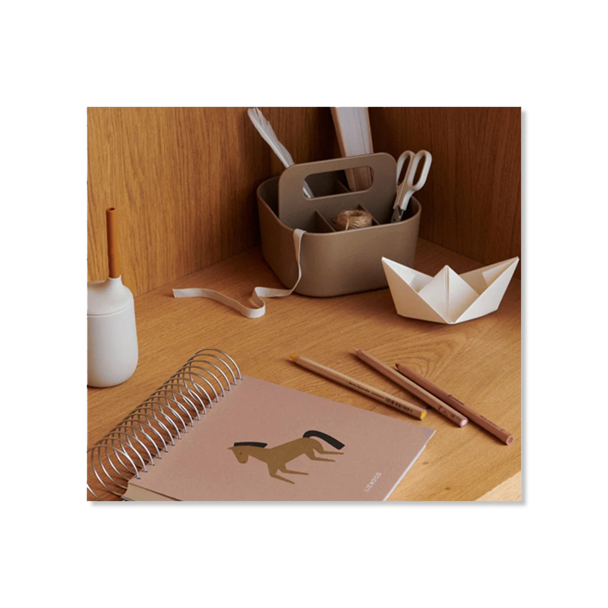Shelly dIY kit