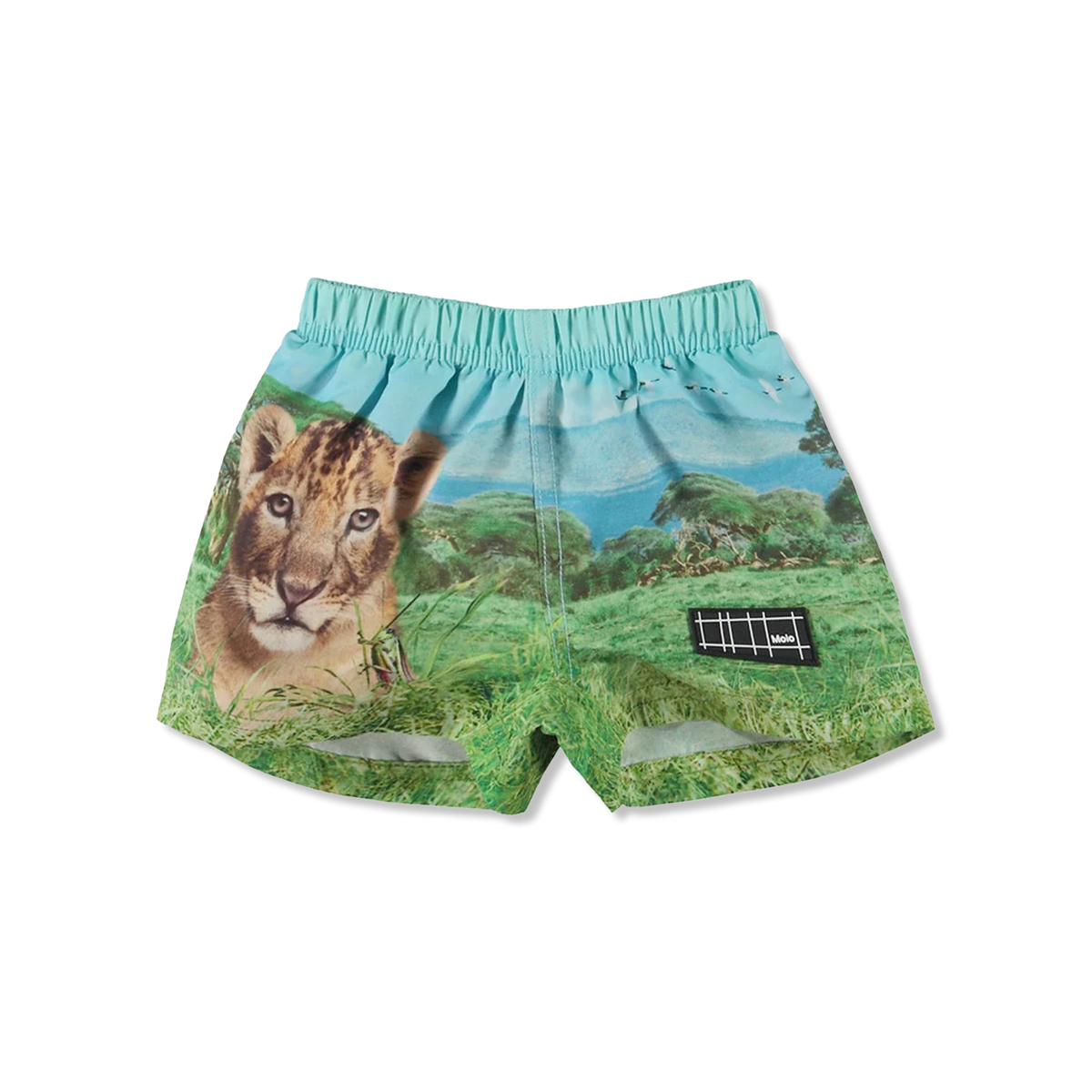 Newton swim shorts