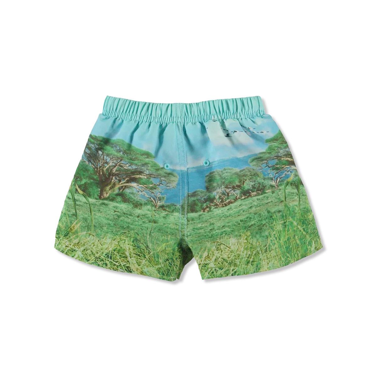 Newton swim shorts