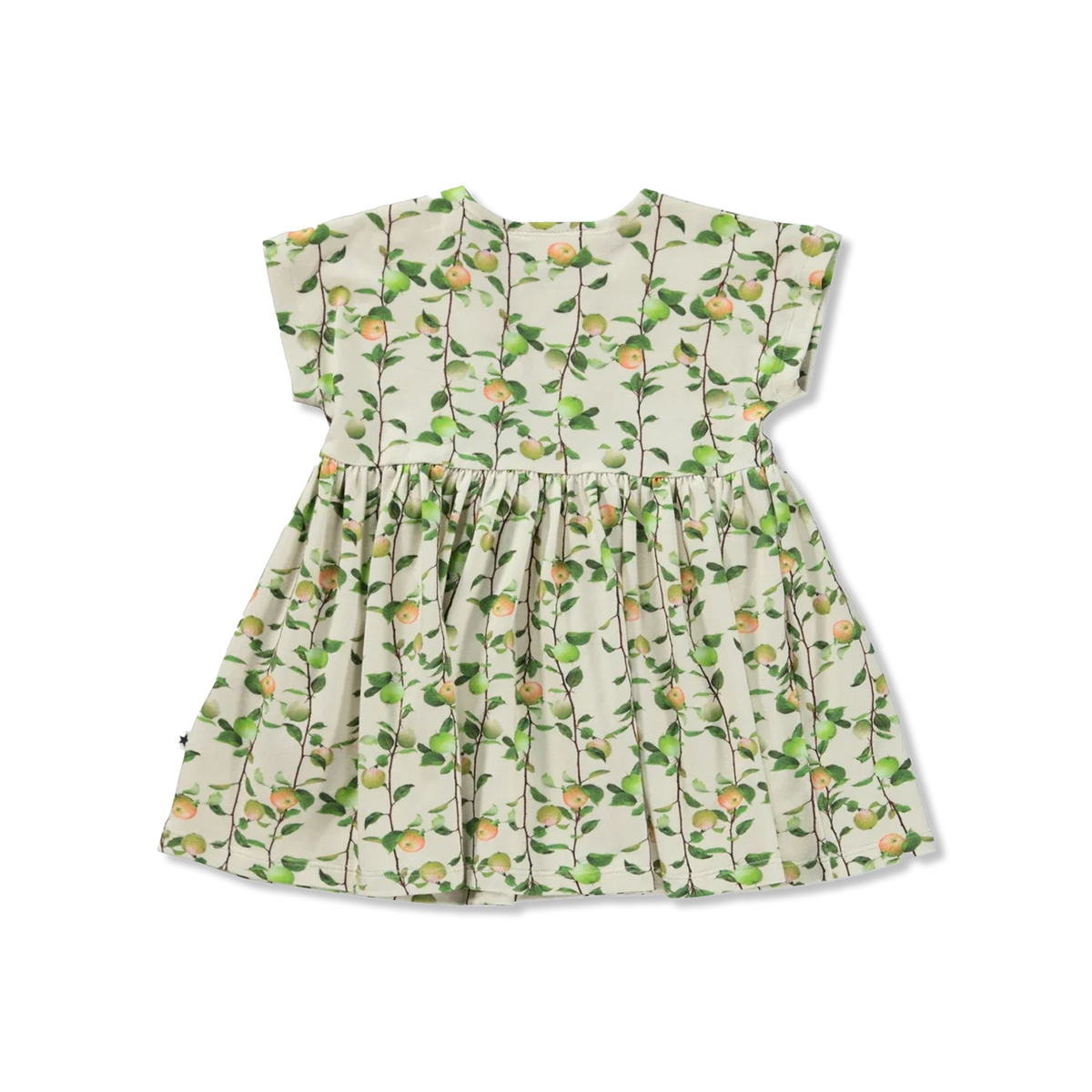 Channi dress