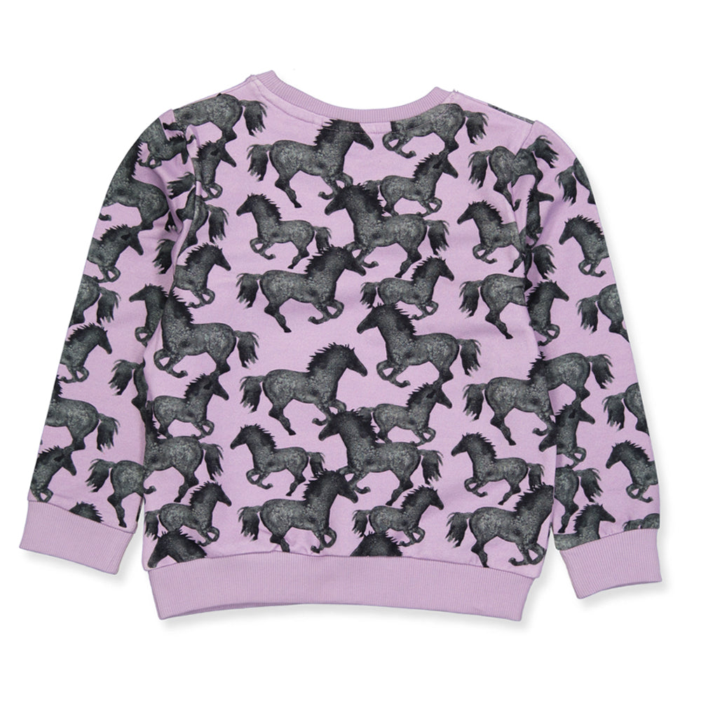 NMFSACHA sweatshirts
