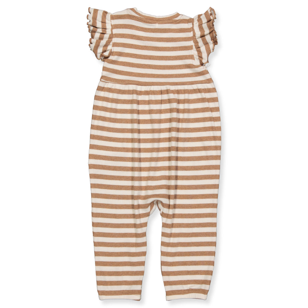 NBFNETE suit