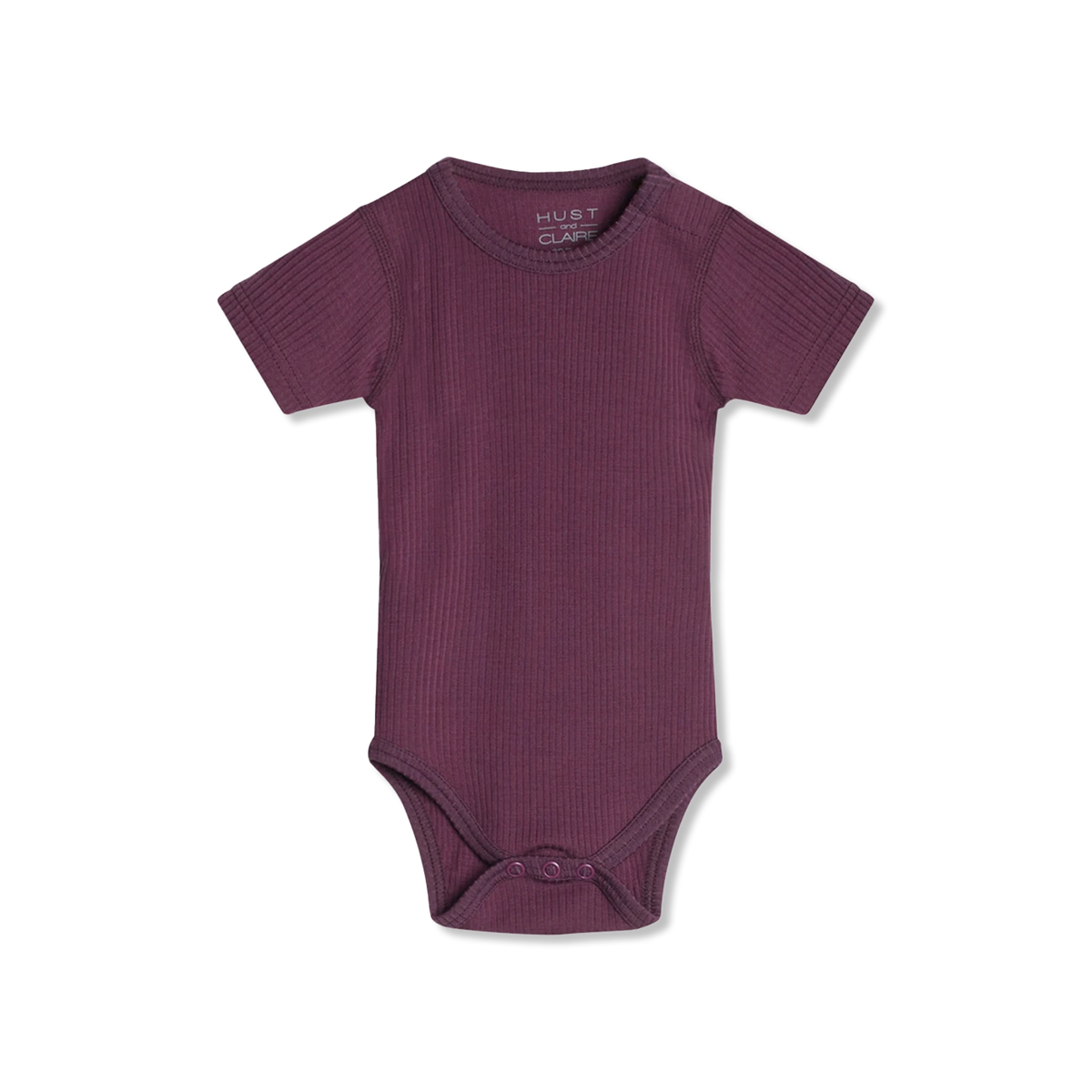 Bet summer suit