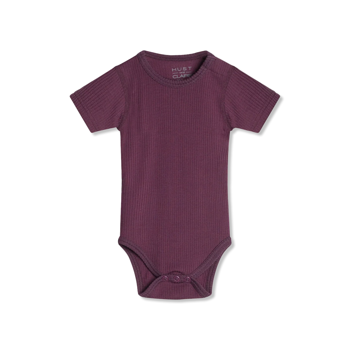 Bet summer suit