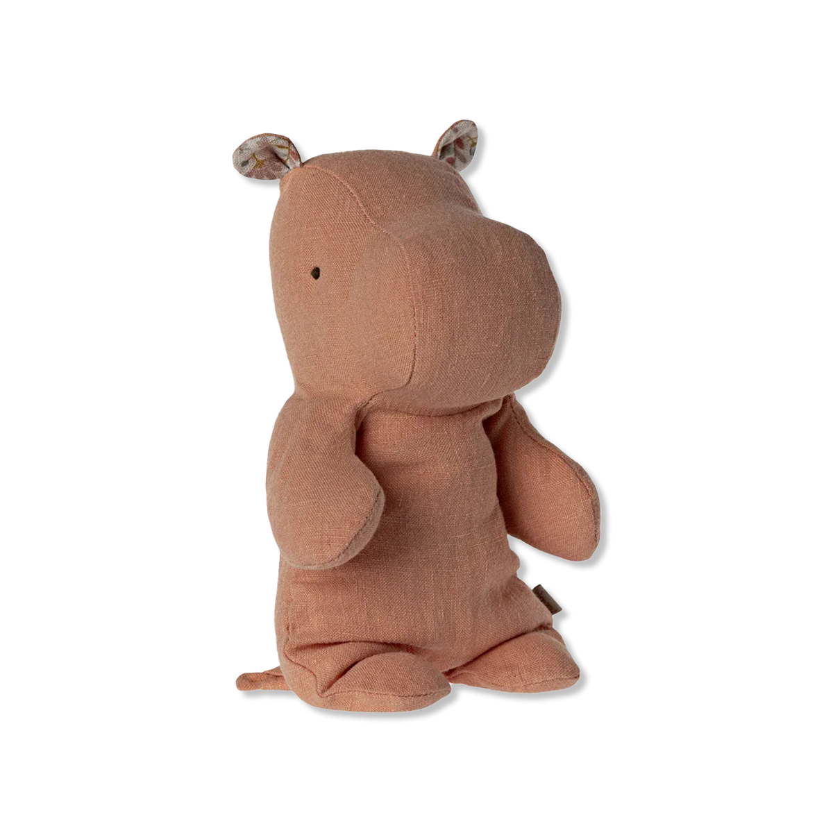 teddy