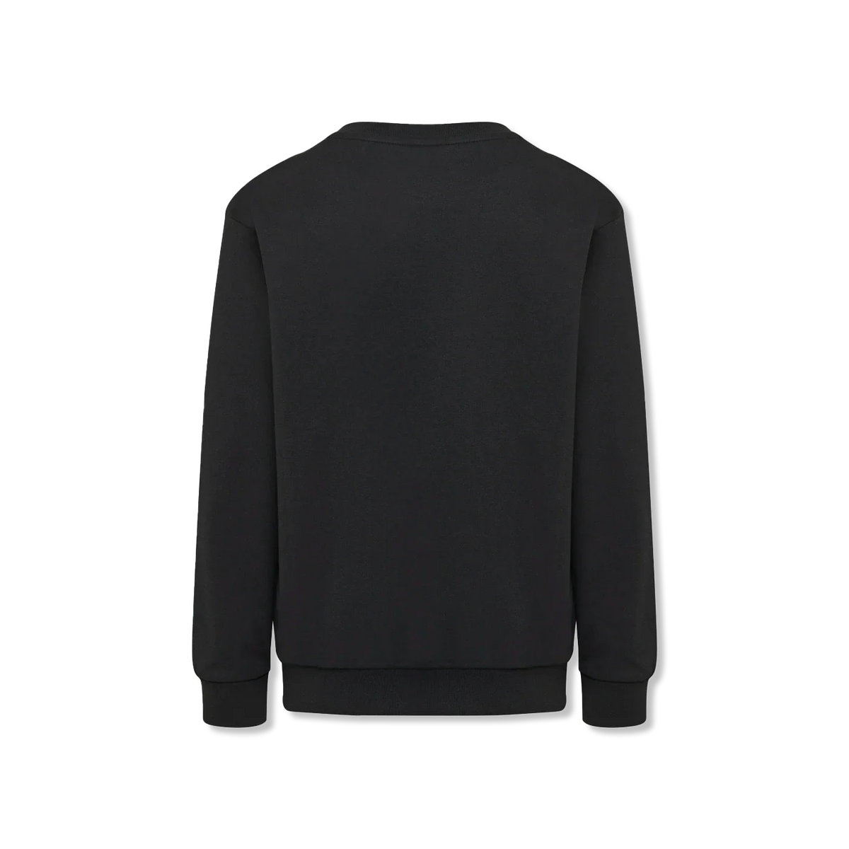 Dos sweatshirts