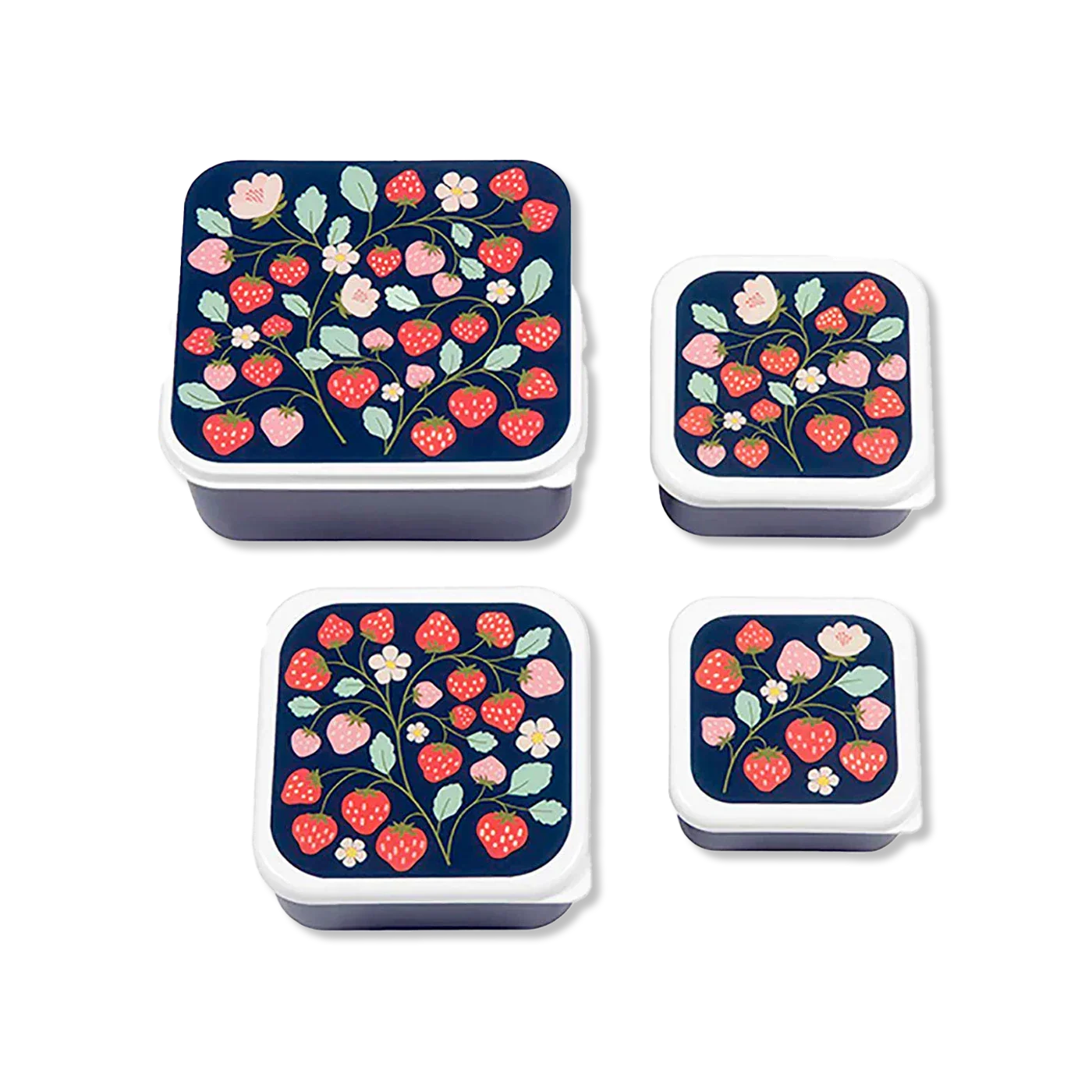 lunch boxes