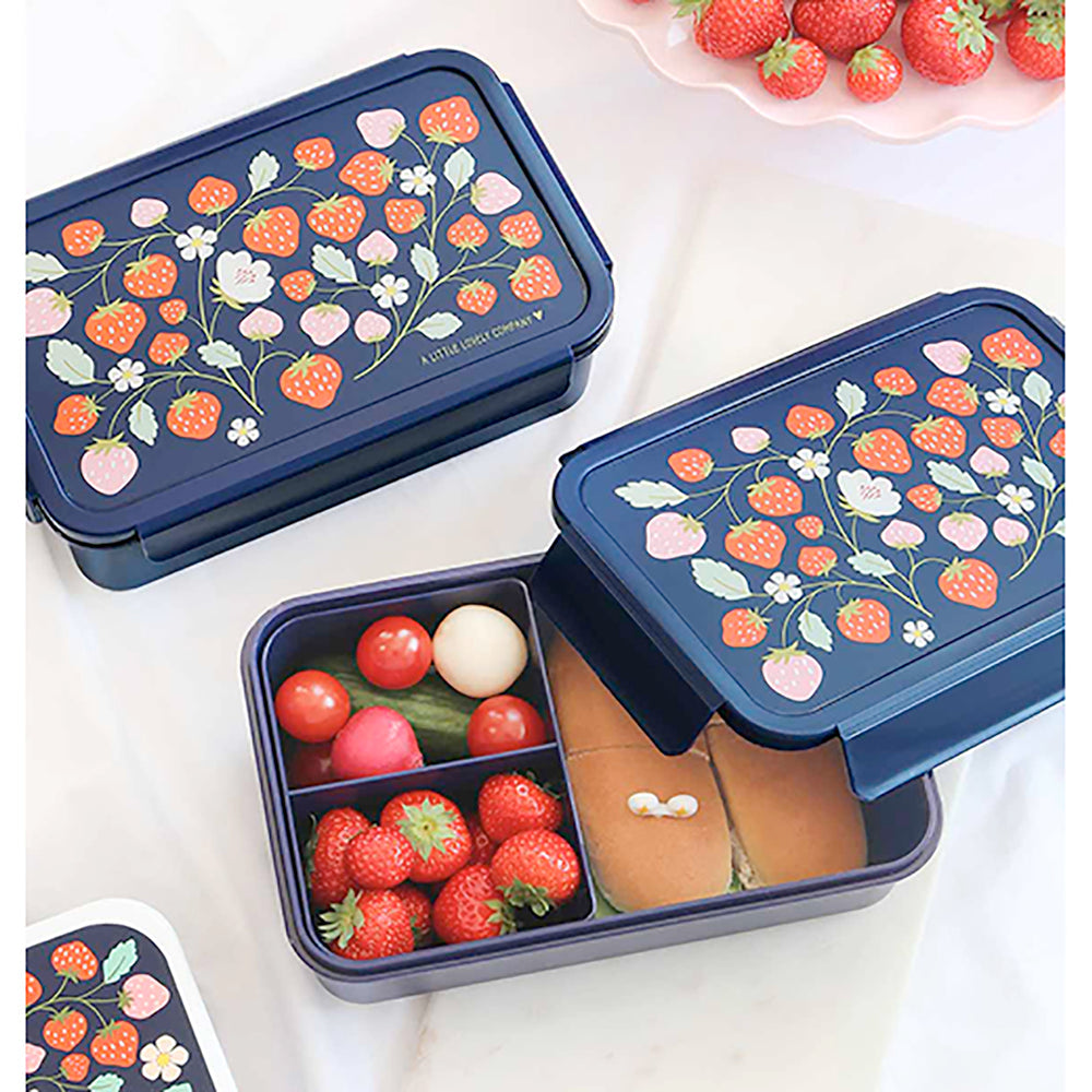 lunch boxes
