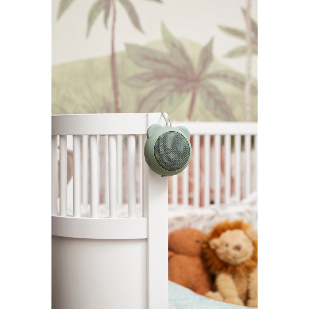 Roar headphones and speakers