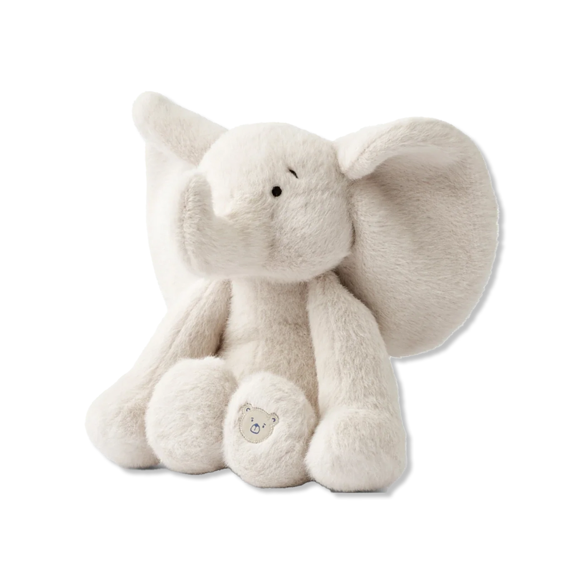 Berto teddy