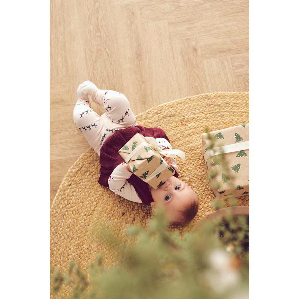 Santa christmas clothes