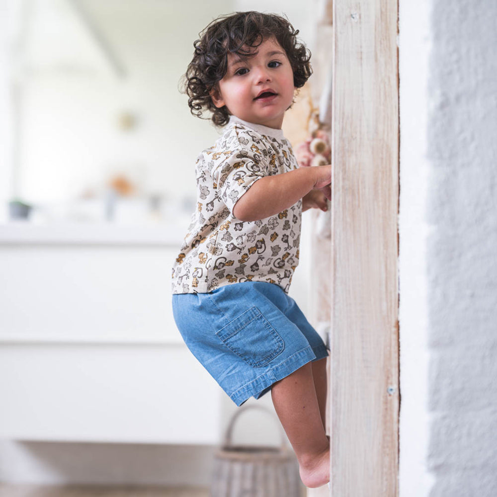 Sander shorts