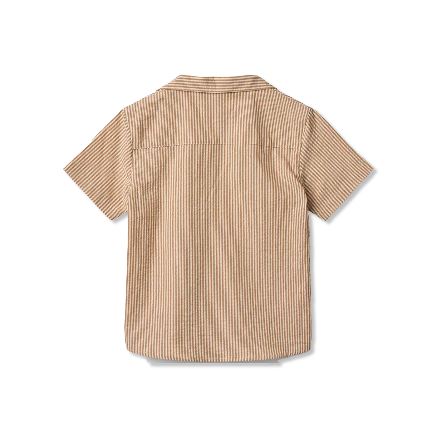 Anker shirt