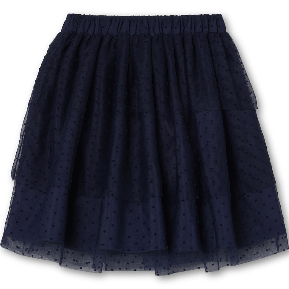 Tulle Skirt