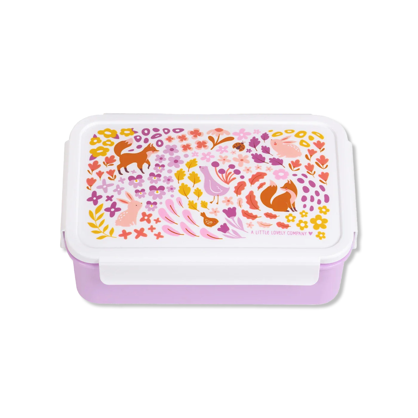 Lunch box lunch boxes