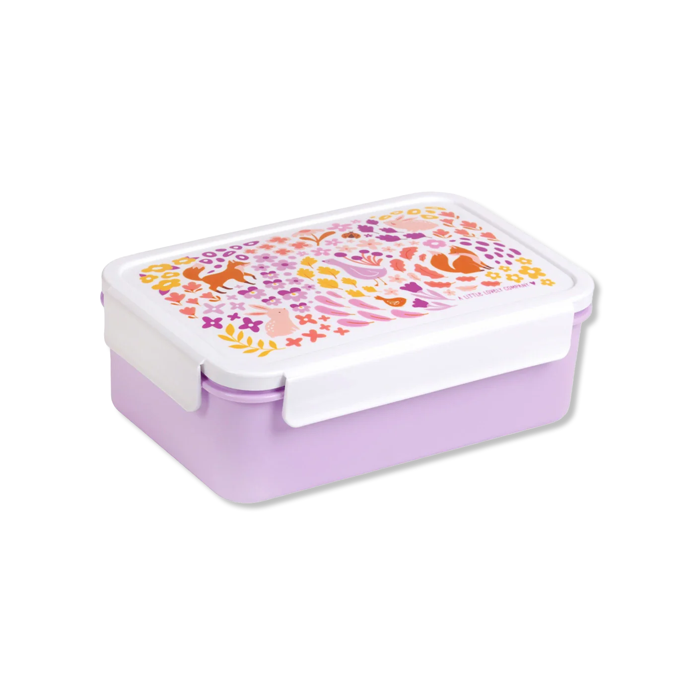 Lunch box lunch boxes