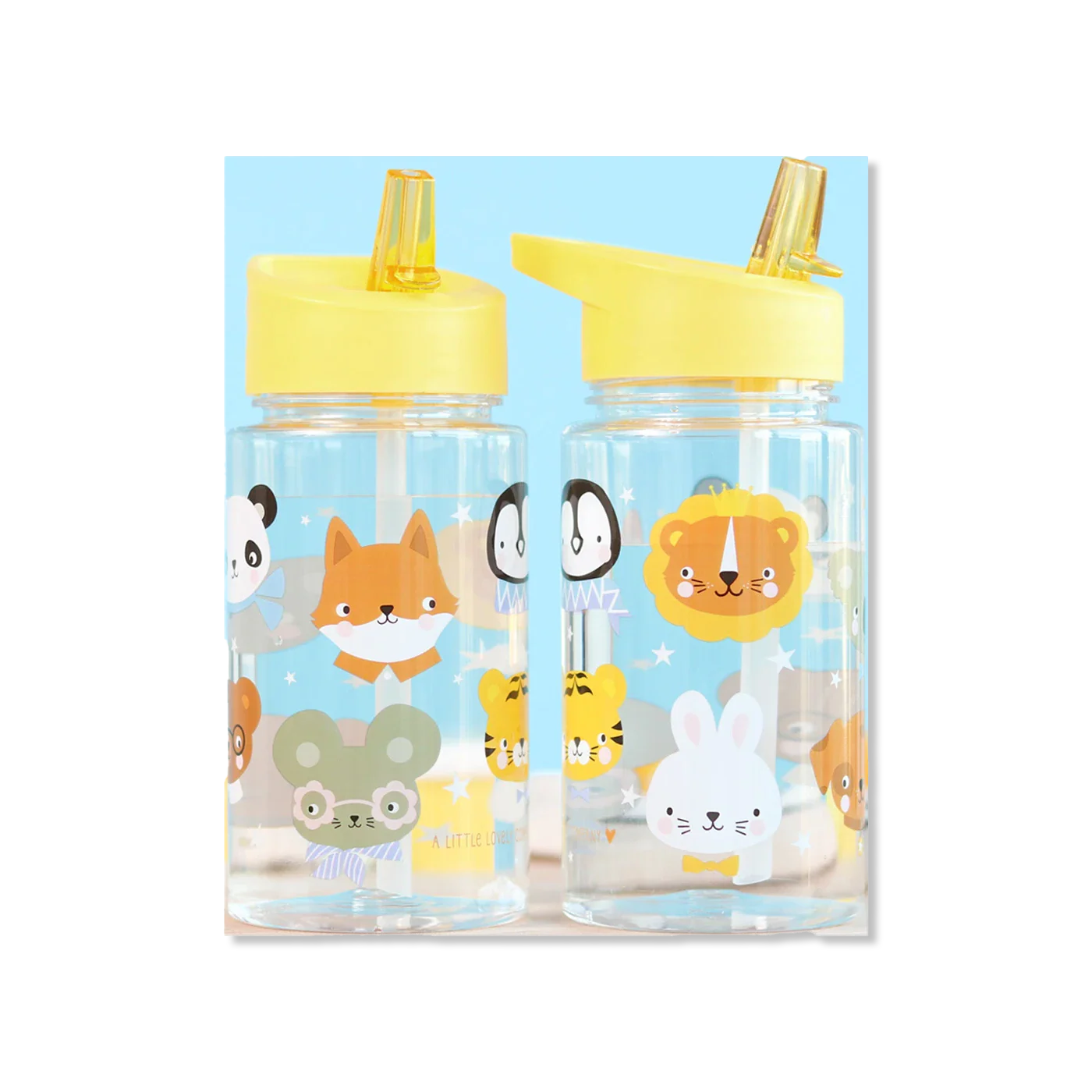 Drink bottle water bottle