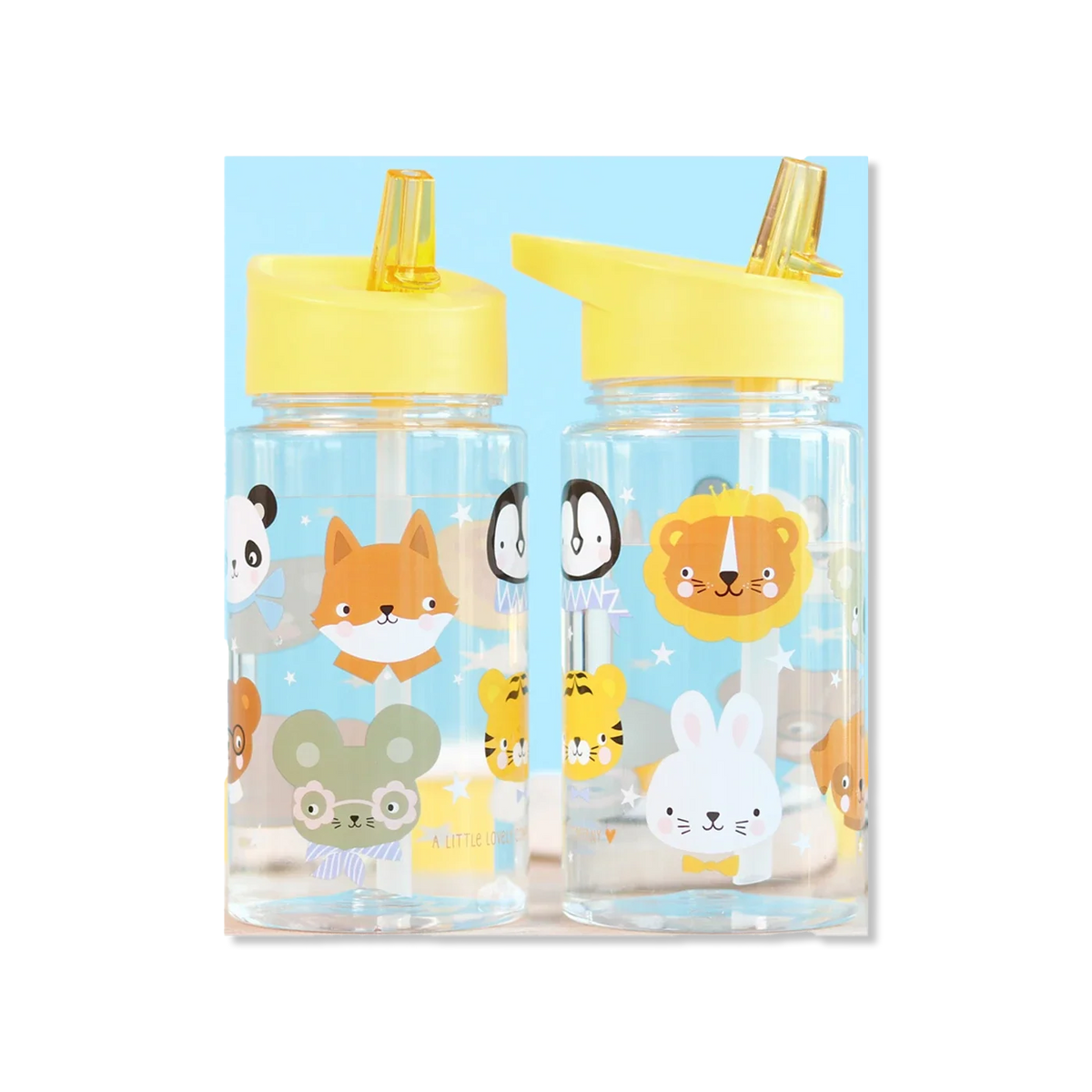Drink bottle water bottle