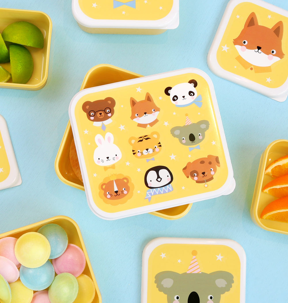 Lunch box set lunch boxes