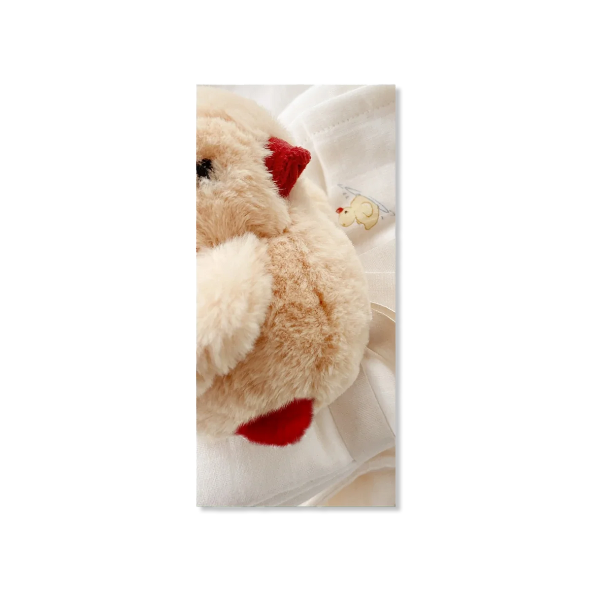 MIO teddy