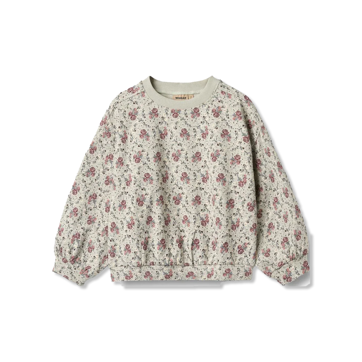 Lia sweatshirts