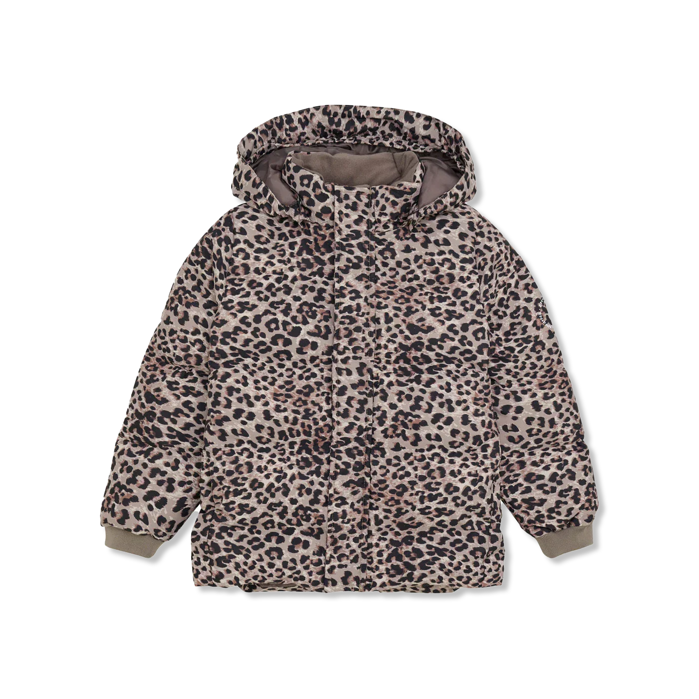 winter jacket