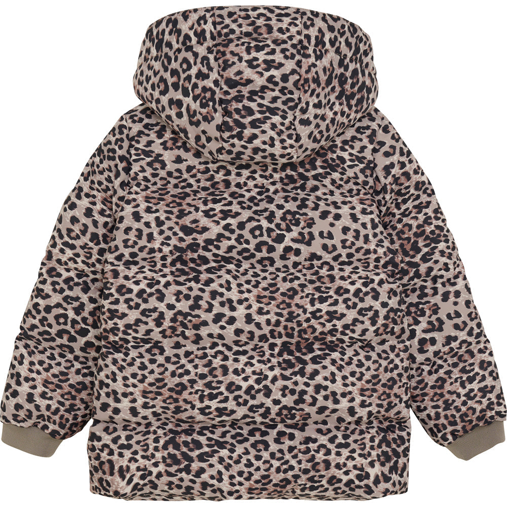 winter jacket