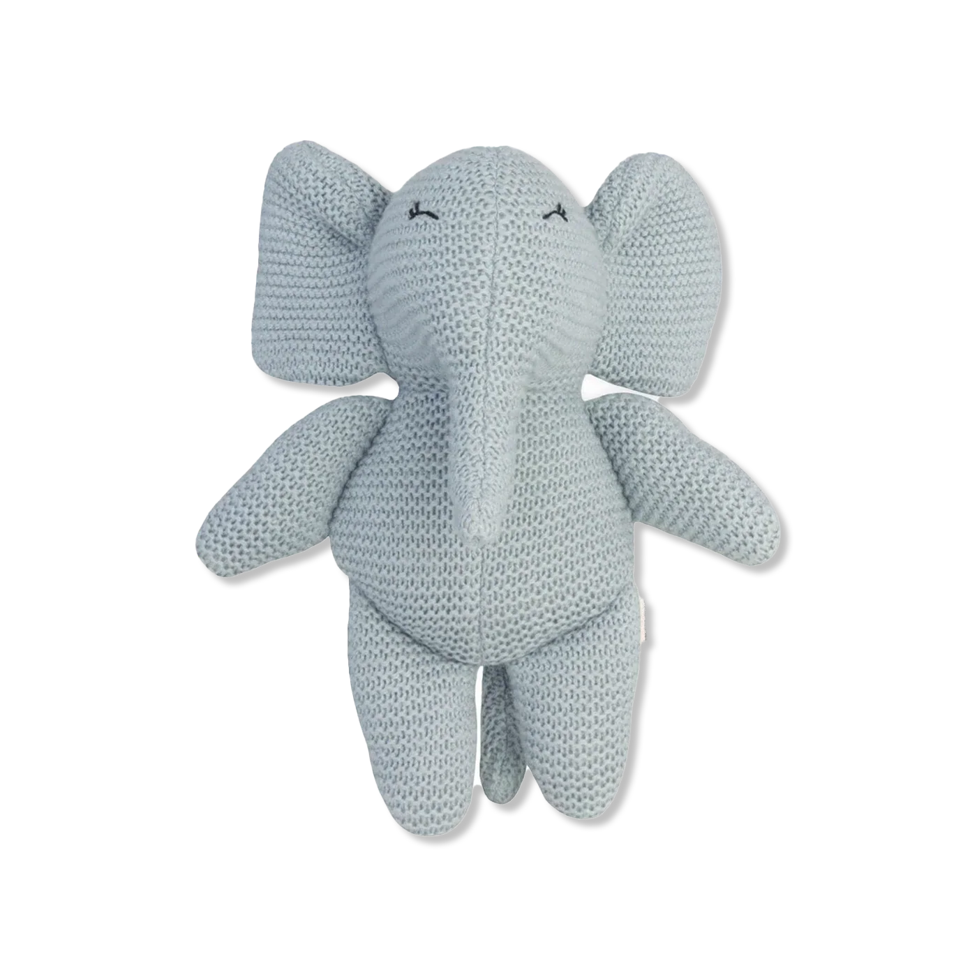 Elvy teddy