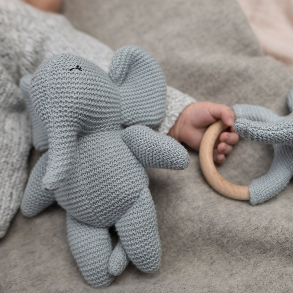 Elvy rattle