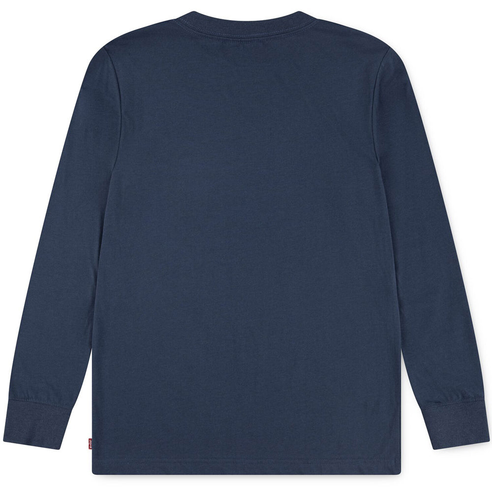 LVB GRAPHIC lS T-shirt