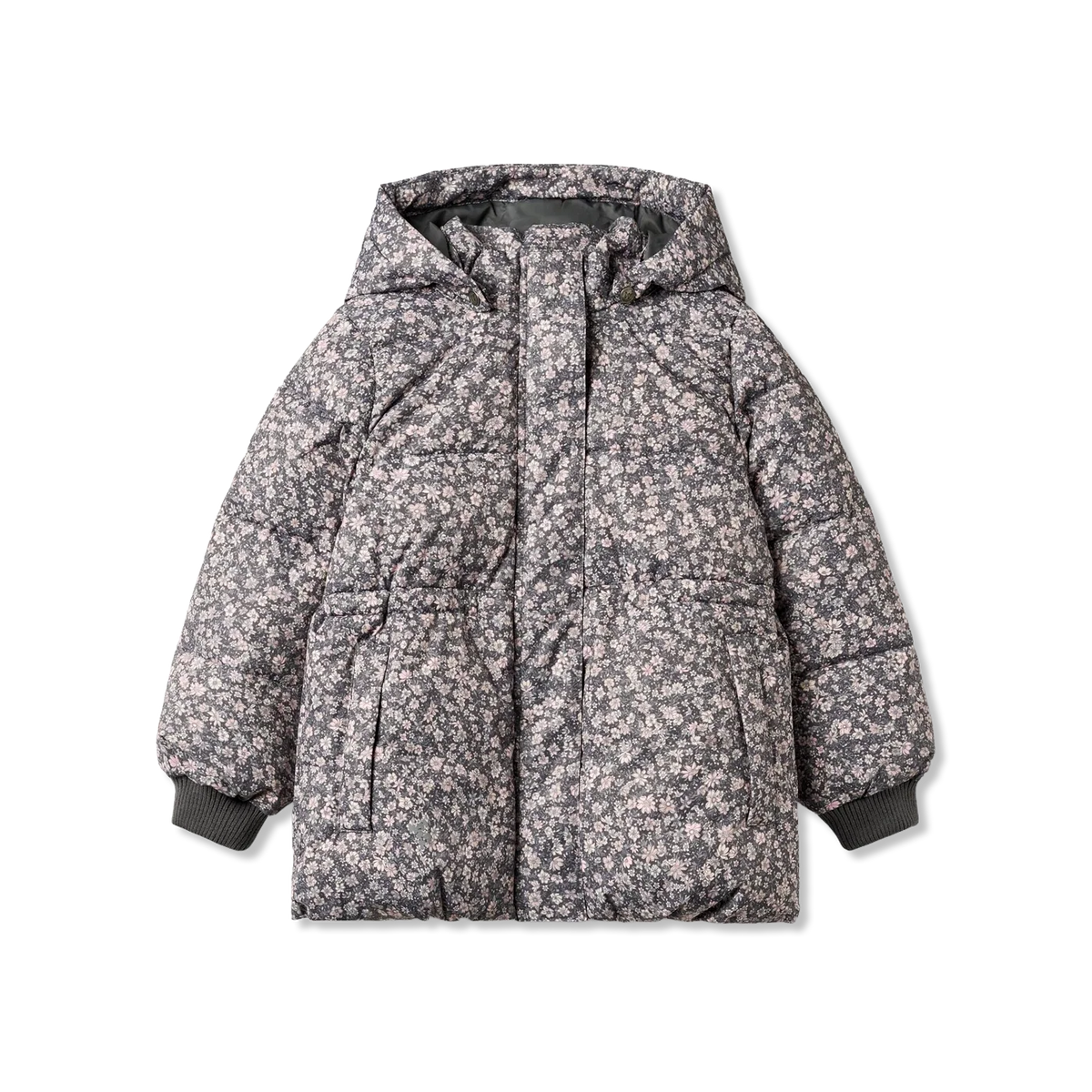 Eli Winter jacket