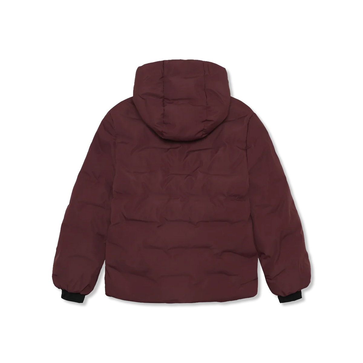Winter jacket
