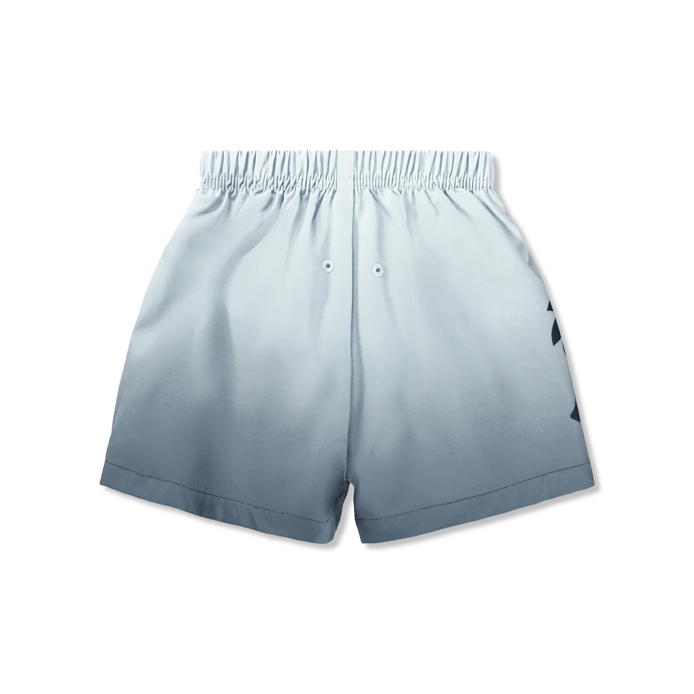 Newton Swim shorts